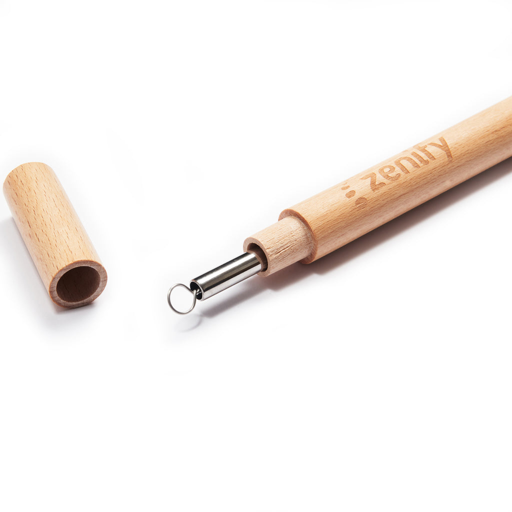 Reusable Metal Straw with Case - Silver