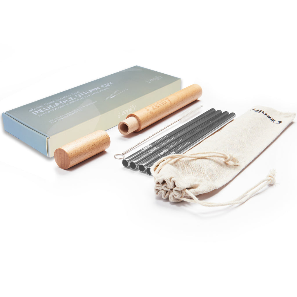 Reusable Metal Straws (4 Pack with Case) - Silver