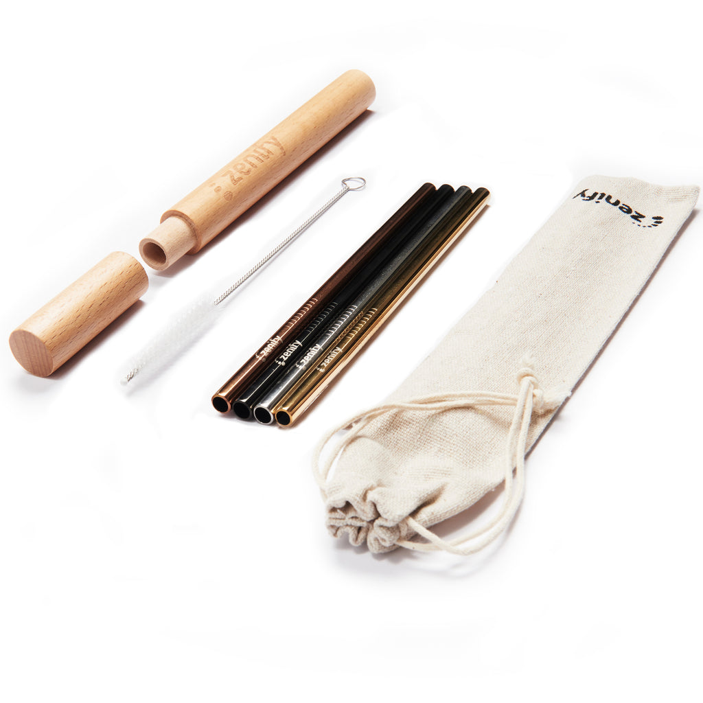 Reusable Metal Straws (4 Pack with Case) - Assorted